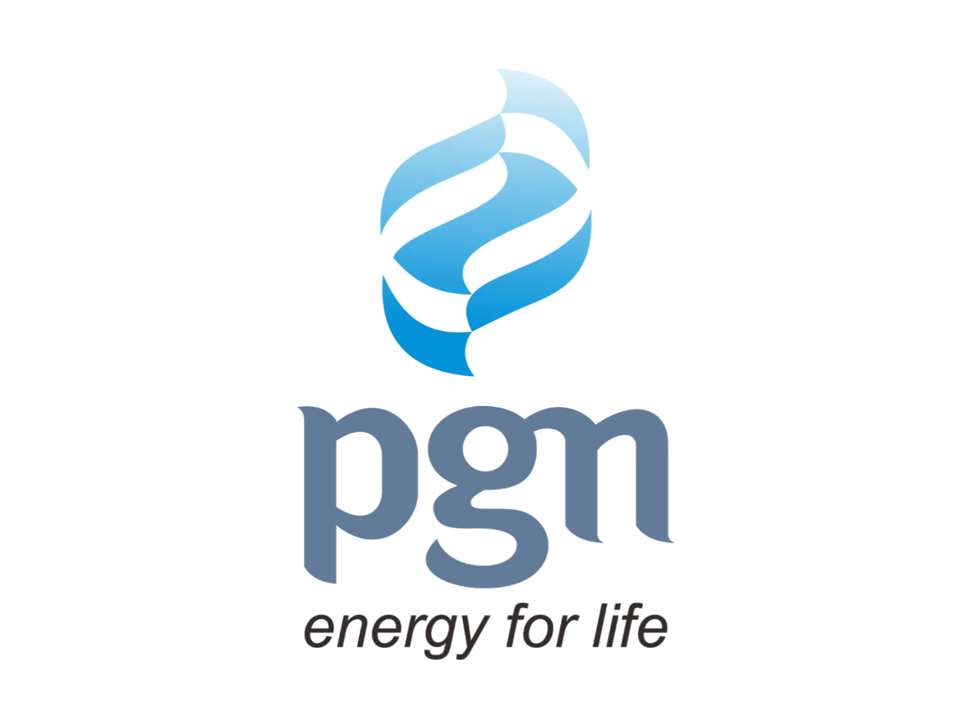 PGN_1769791027_697cde331c778